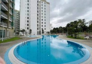 Photo #1