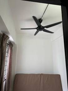 Photo #7