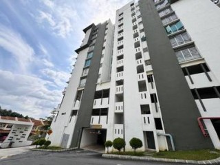 Photo #1