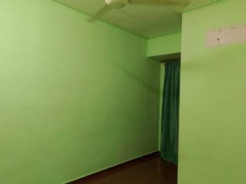 Photo #6