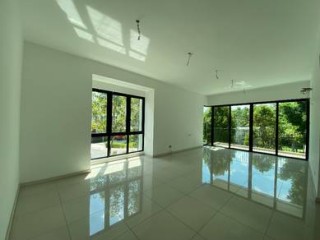 Photo #1