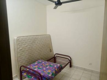 Photo #5