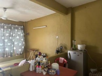 Photo #8