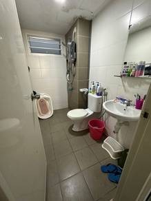 Photo #7