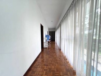 Photo #10
