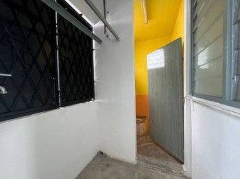 Photo #7