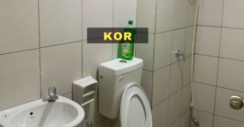 Photo #1