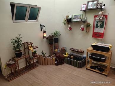Photo #8