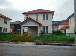 Photo #1