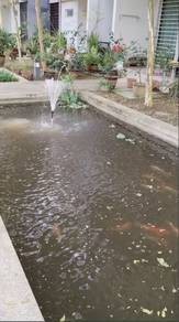 Photo #6