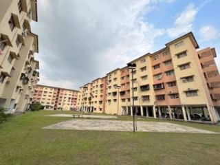 Photo #1