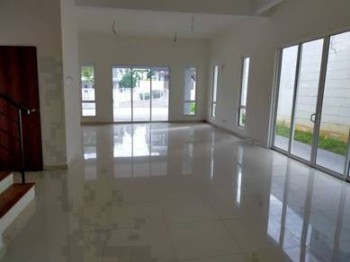 Photo #6