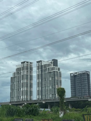 Photo #16