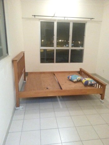 Photo #10
