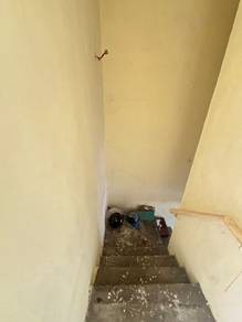 Photo #6