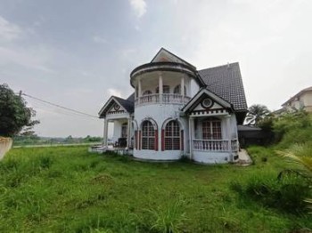Photo #1
