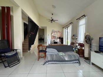 Photo #7