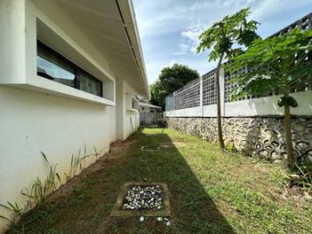 Photo #9