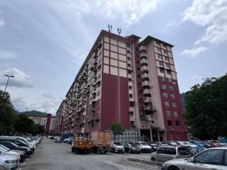 Photo #1