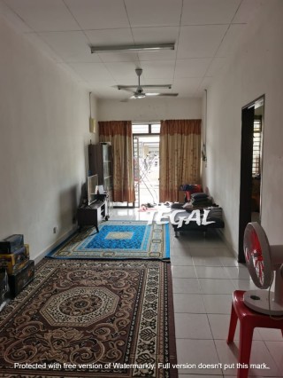 Photo #2