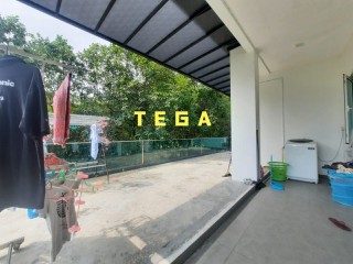 Photo #6