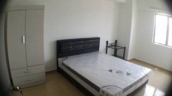Photo #4