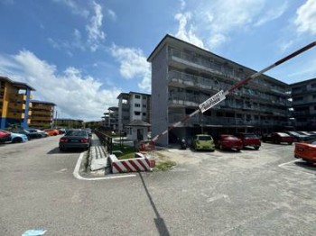 Photo #5