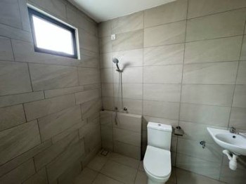 Photo #8