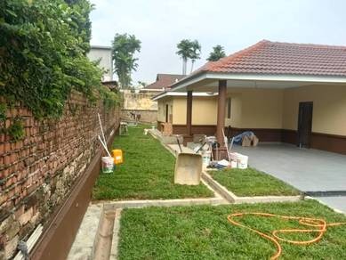 Photo #7