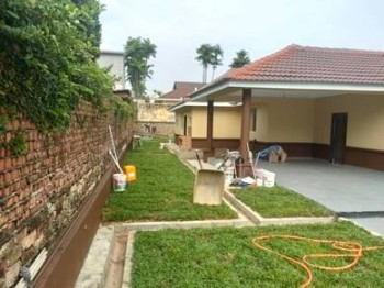 Photo #7