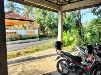 Photo #6