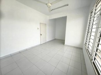 Photo #5