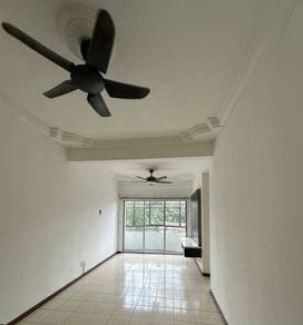 Photo #8