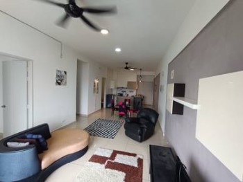 Photo #9