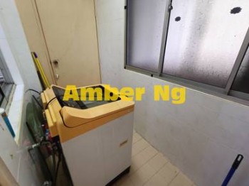 Photo #6