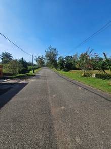 Photo #3