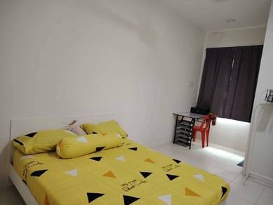 Photo #8
