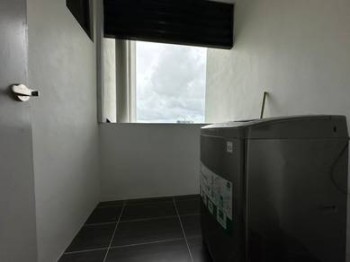 Photo #8