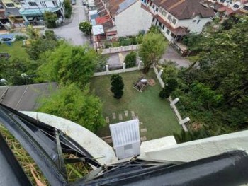 Photo #5
