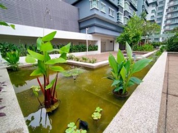 Photo #3