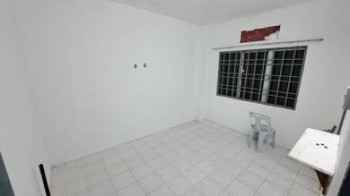 Photo #5