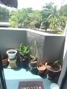 Photo #6