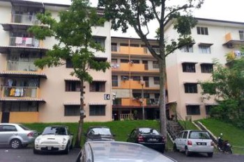 Photo #5