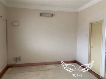 Photo #6
