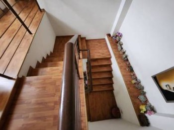 Photo #5