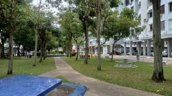 Photo #1