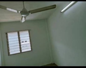Photo #6