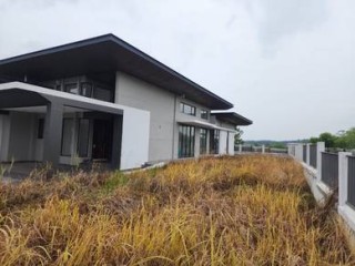 Photo #1