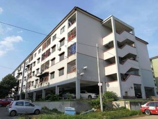 Photo #1