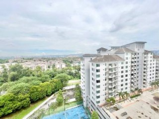 Photo #1